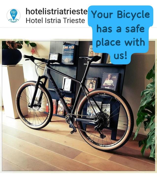 Jízda na kole v ubytování Hotel Istria nebo okolí