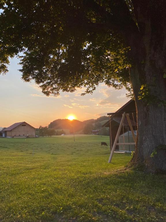 Příroda nedaleko apartmánu
