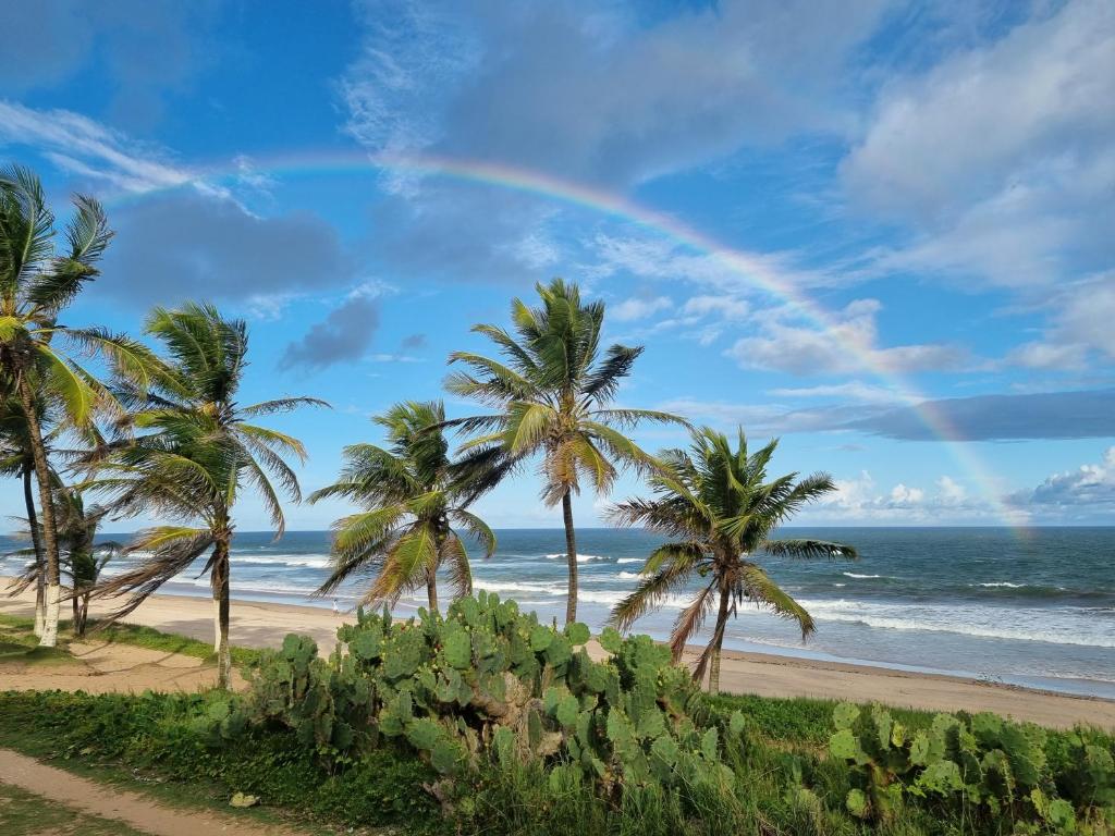 a rainbow over a beach with palm trees and the ocean at Brisa do Mar Village in Salvador