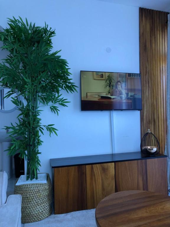 TV a/nebo společenská místnost v ubytování C.leslie_homes2