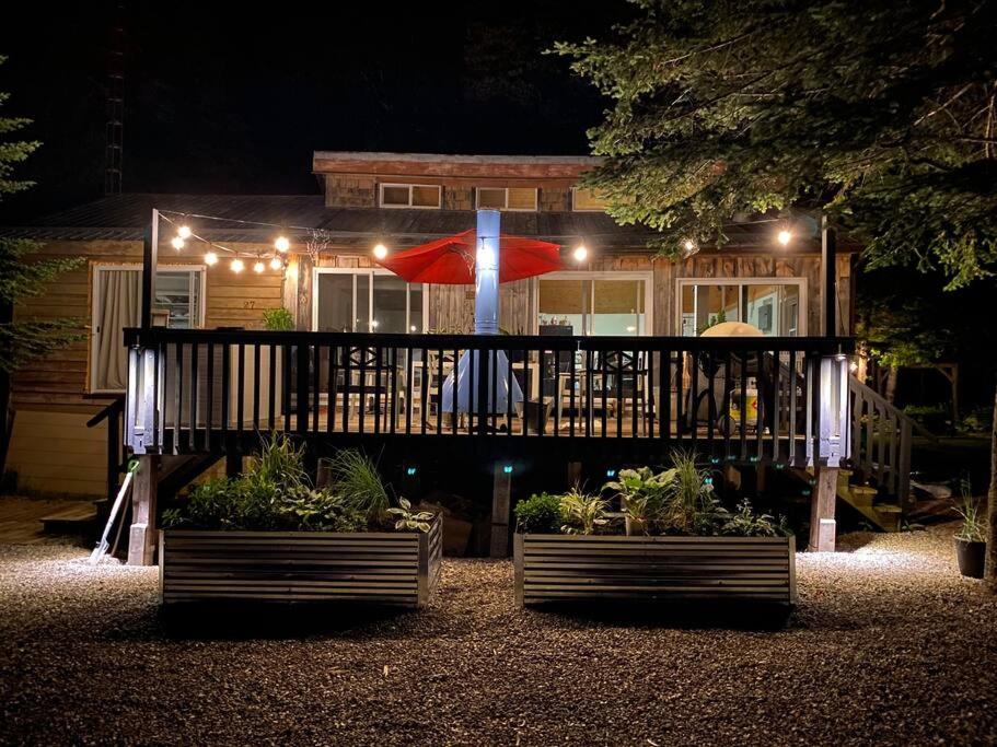 una casa con porche con sombrilla y algunas plantas en Willow Cabin- North Frontenac Lodge en Ompah