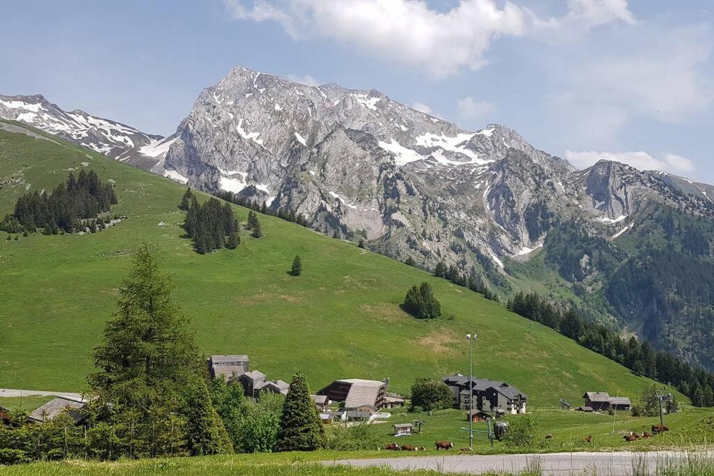 a green hill with houses and a mountain at Appartement 25m2 à Manigod, col merdassier. in Manigod