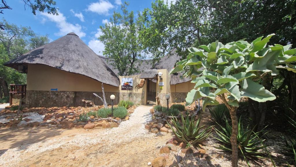 a hut with a thatched roof and a tree at Bona Intaba Game Lodge in Hoedspruit