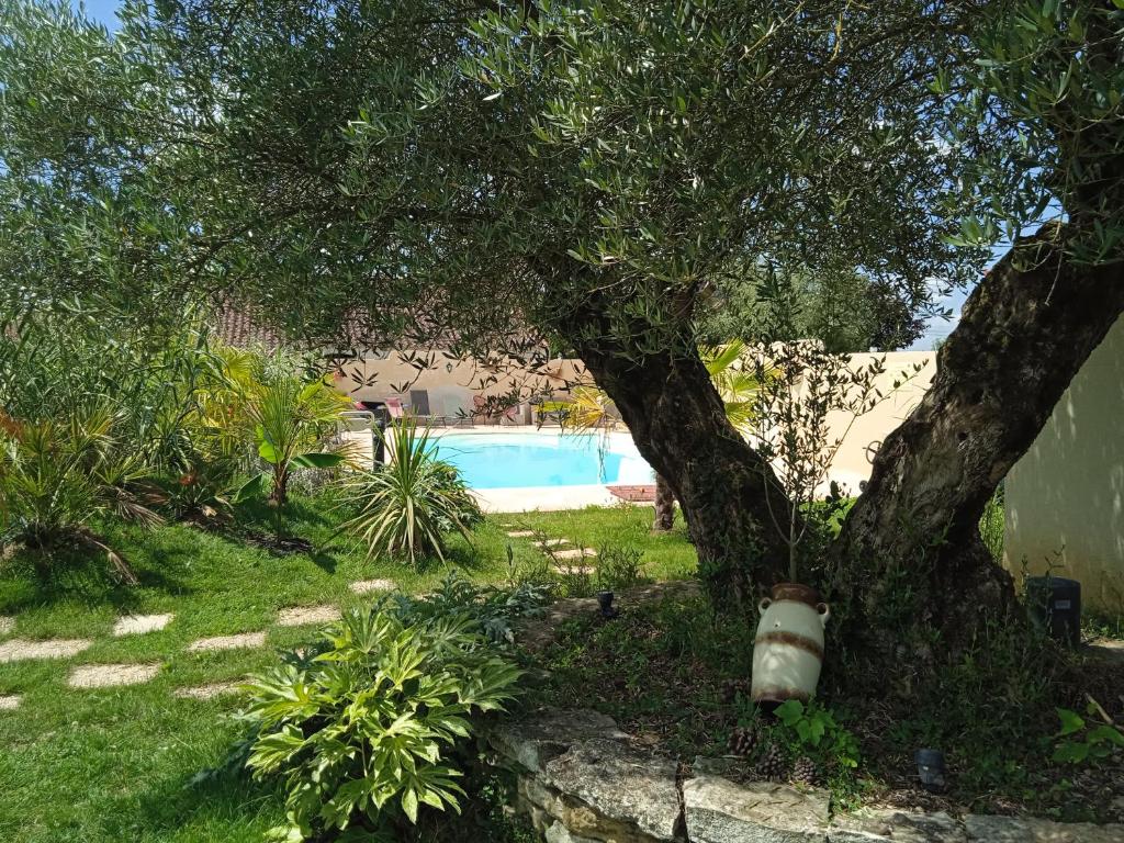 a tree in a yard next to a swimming pool at G1 les oliviers in Saint-Germain-de-Prinçay