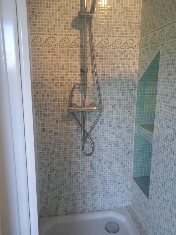 a shower with a shower head in a bathroom at les figuiers et les rosiers proche puy du fou in Saint-Germain-de-Prinçay