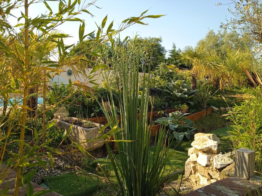 a garden with many different plants and rocks at les figuiers et les rosiers proche puy du fou in Saint-Germain-de-Prinçay