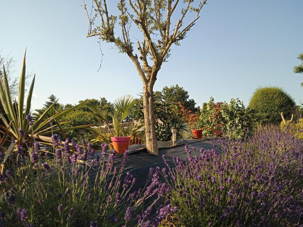 a garden with purple flowers and a tree at les figuiers et les rosiers proche puy du fou in Saint-Germain-de-Prinçay