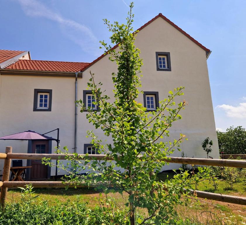 a house with a tree in front of it at Ferienhaus "Entenhaus" im Gutshaus De La Fontaine in Feilsdorf
