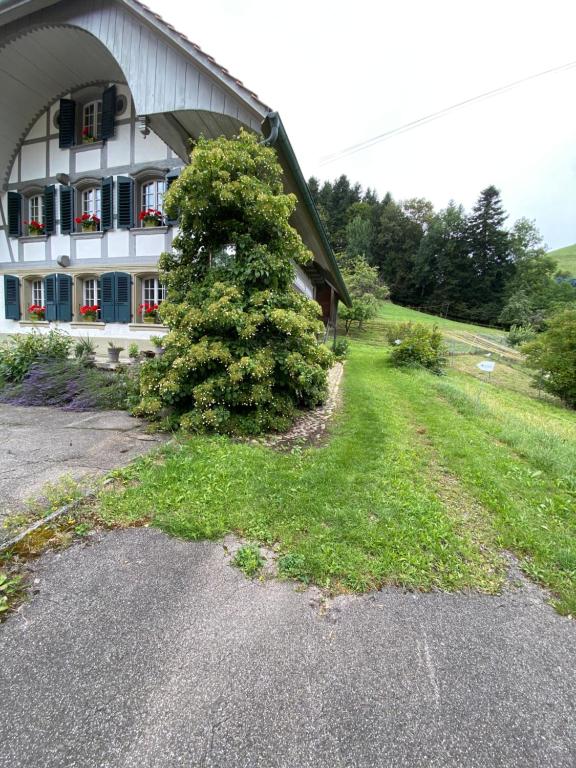 Zahrada ubytování B&B tannen124