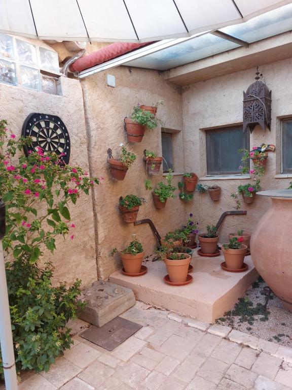 Zahrada ubytování Casa Rural El Simarro