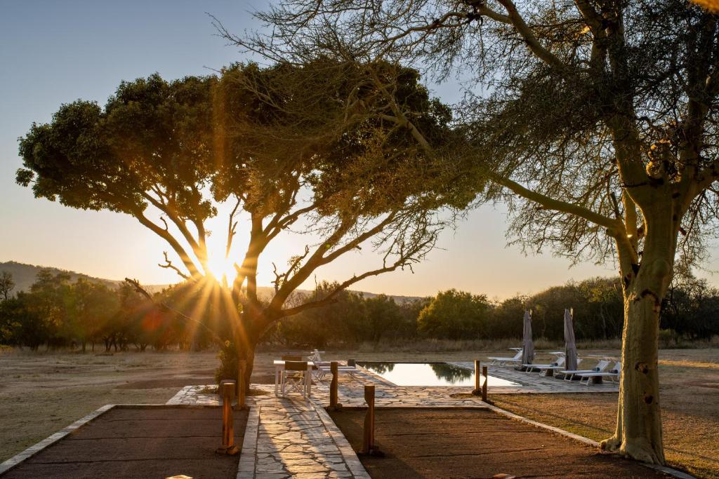 a tree next to a lake with the sun setting at Zebras Crossing in Modimolle
