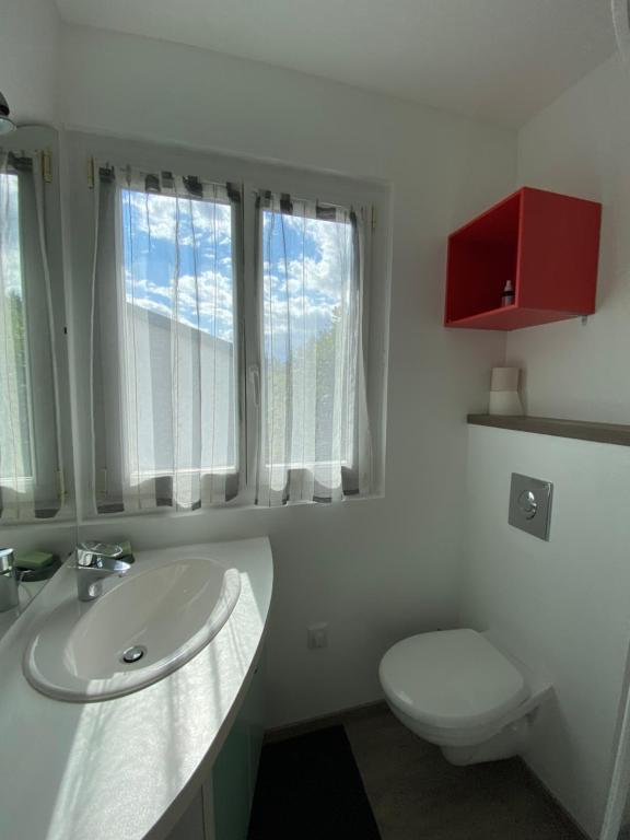 een badkamer met een wastafel, een toilet en ramen bij Le chalet de la liez in Peigney