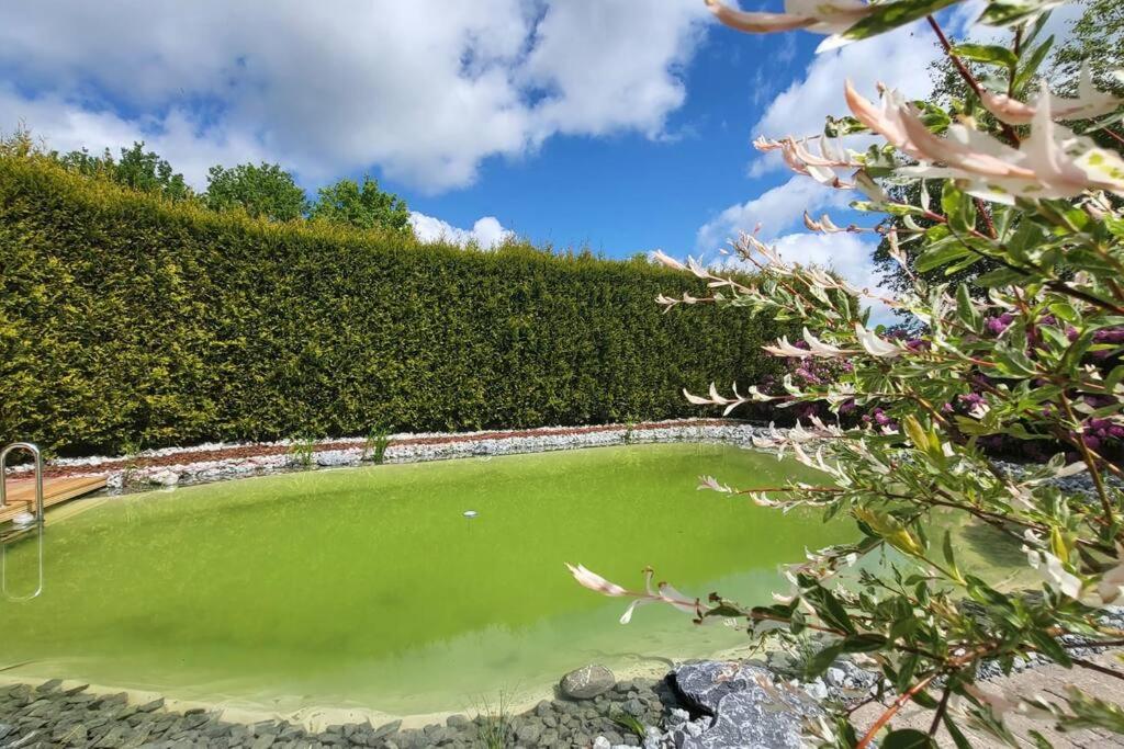a pool of green water next to a hedge at Fewo Plüschmors in Dornum