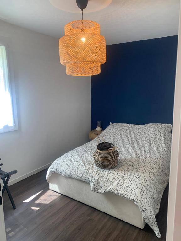 Un dormitorio con una cama con una pared de acento azul en Appartement Rangeuil Toulouse, en Toulouse