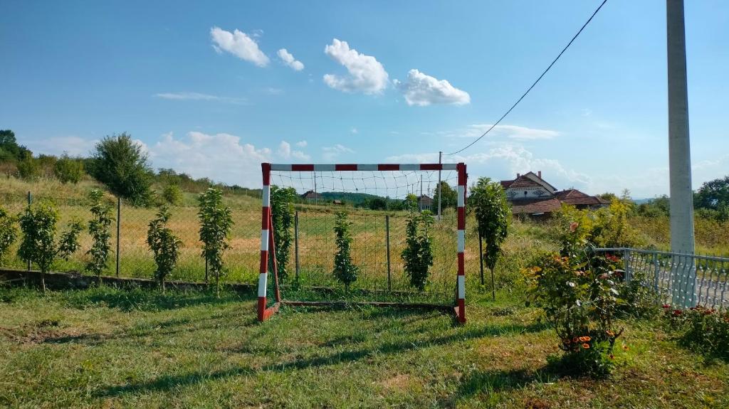 Zahrada ubytování Domaćinsvo Stević - Sekurič