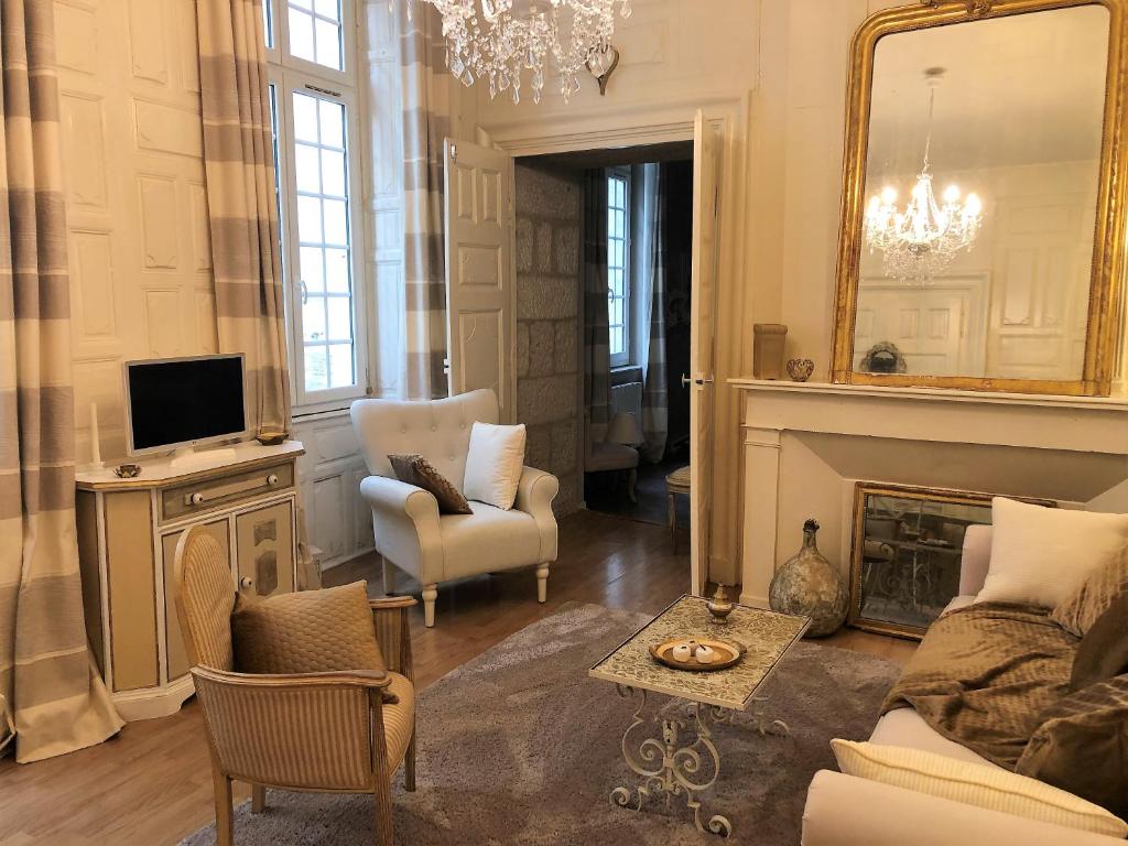 a living room with a fireplace and a mirror at Appartement Périgueux historique in Périgueux