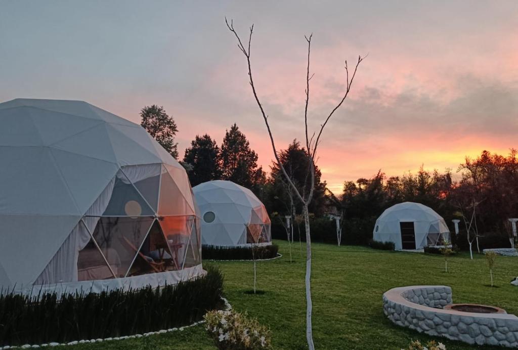 Zahrada ubytování Mantra Glamping & Chalets