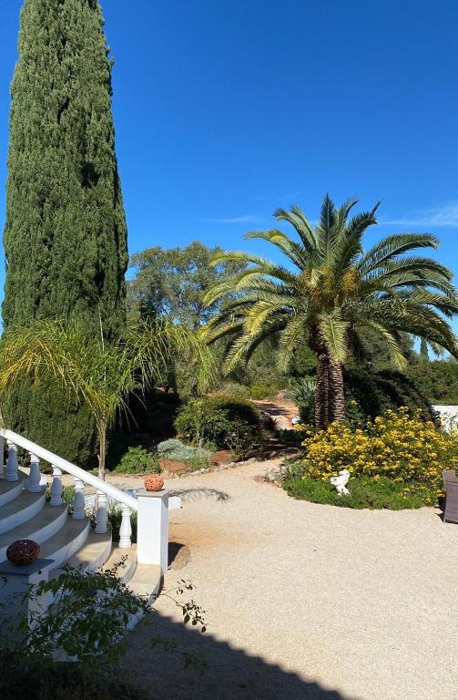 Zahrada ubytování Studio de la Casa Paraiso avec, en plus, une terrasse privative extérieure semi couverte équipée d'un salon d'un coin repas d'une kitchenette, la grande piscine et les jardins sont partagés, à proximité des plages de FUSETA et de la RIA FORMOSA