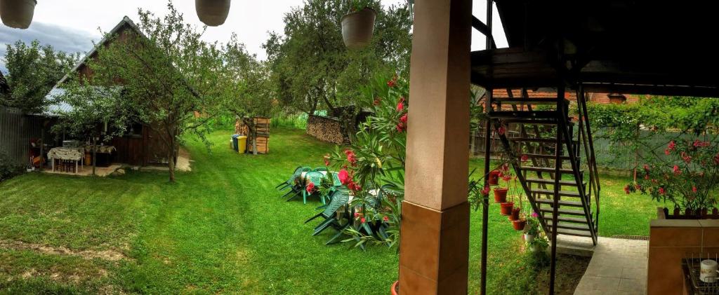Zahrada ubytování Casa Popa