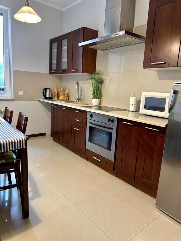 Kuchyňa alebo kuchynka v ubytovaní Apartament przy Rynku
