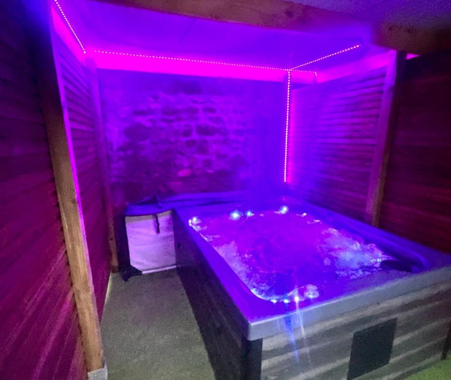 een paarse kamer met een hot tub. bij Beau Loft room proche mont saint Michel jaccuzi illimité en plein centre Avranches in Avranches