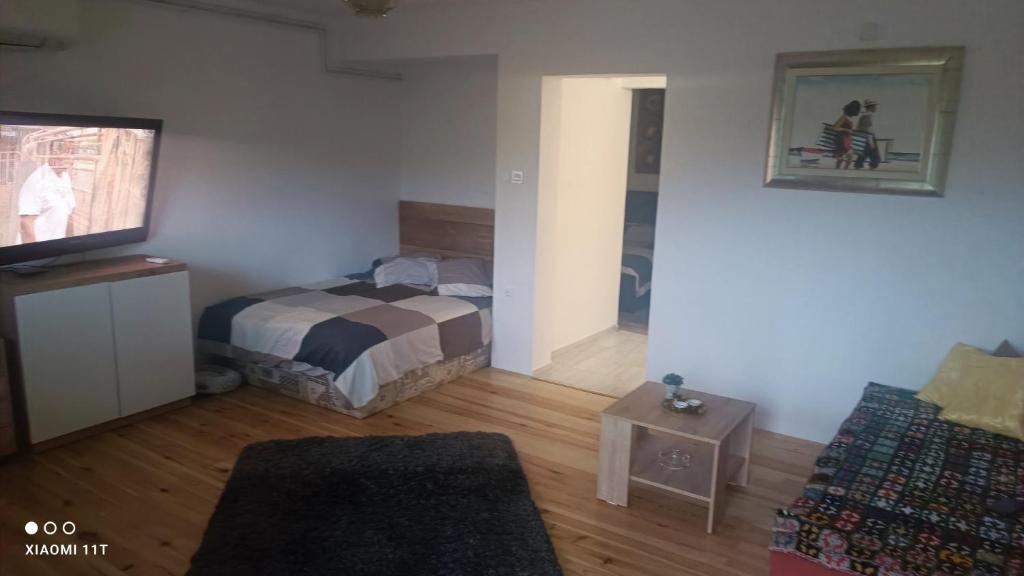 ein Schlafzimmer mit einem Bett und einem TV. in der Unterkunft Apartmaji BORŠTNER in Vransko