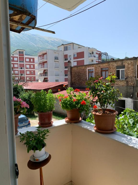 Guest House Dimos Kristi - Imazhi 6