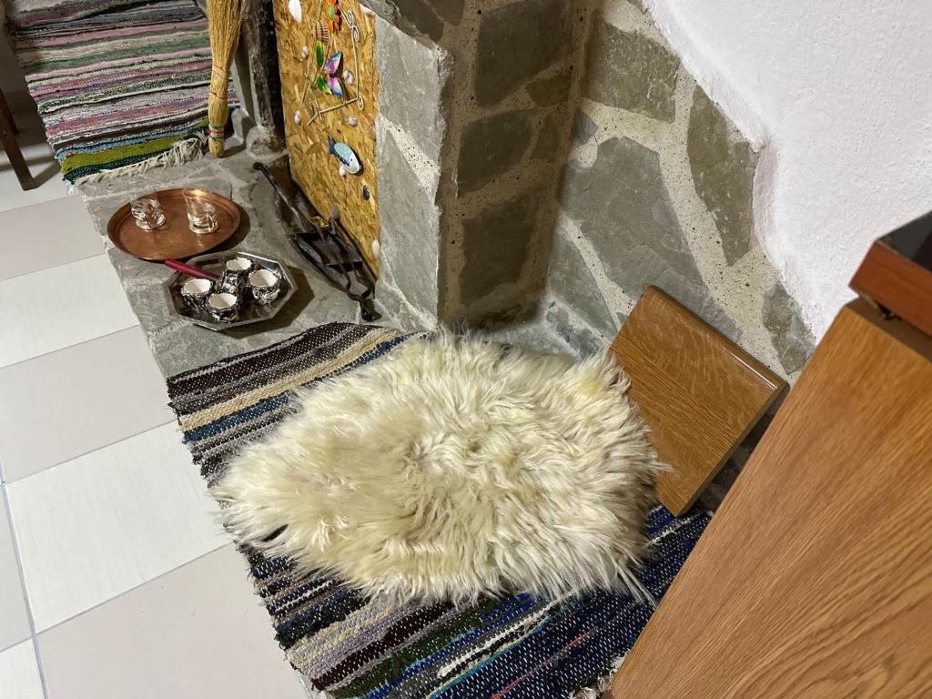 un chien blanc posé sur un tapis au sol dans l'établissement Gardenhouse, à Mëmëlisht