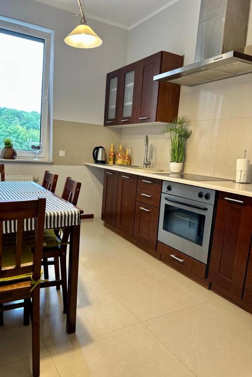 Kuchyňa alebo kuchynka v ubytovaní Apartament przy Rynku