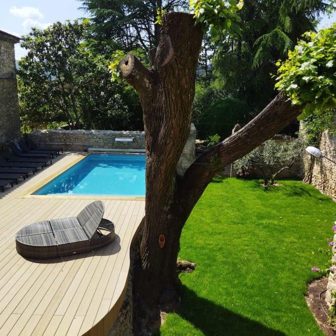 un arbre avec une chaise près de la piscine dans l'établissement Maison 6 chambres avec piscine, à Quissac