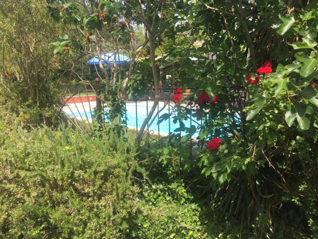 Vista de la piscina de Le MAS DU SUD o d&#39;una piscina que hi ha a prop