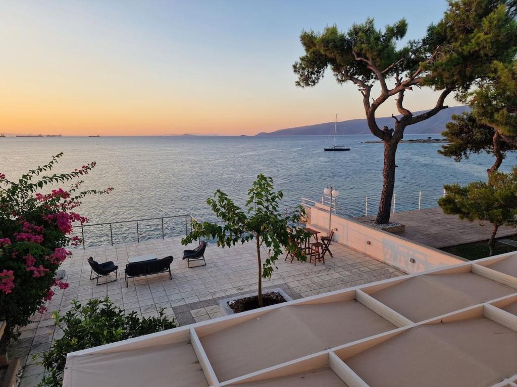 een uitzicht op het water met stoelen en een boom bij Sea Front Villa near Athens in Isthmia
