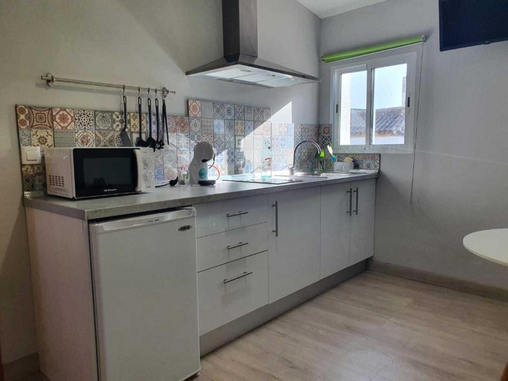 cocina con fregadero y microondas en Calleja La Pimentera, en Córdoba