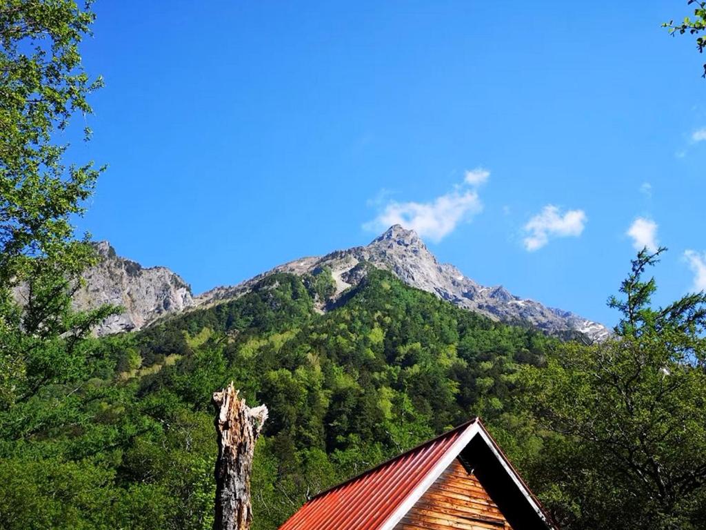 Příroda nedaleko hotelu