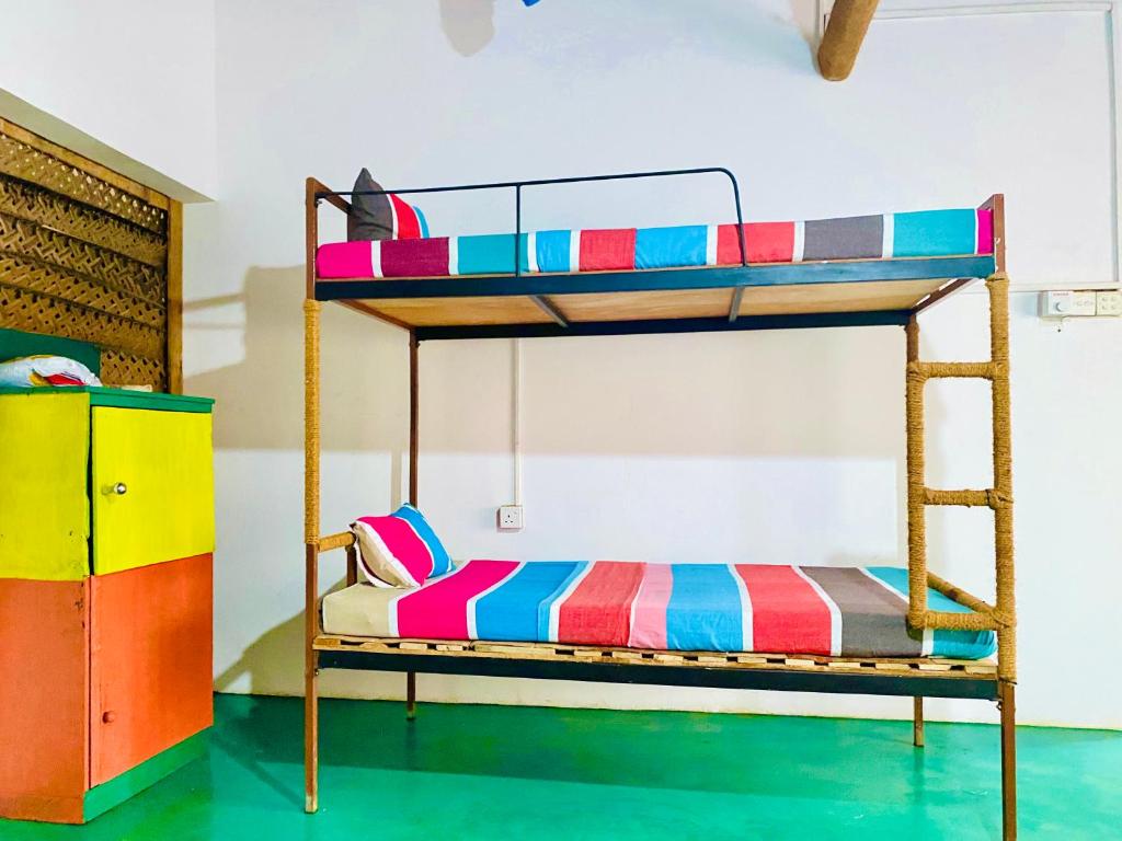 a bunk bed with a ladder in a room at Reggae paradise hostel in Sigiriya
