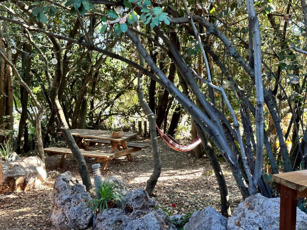 een picknicktafel en bank in een park met bomen bij הבלוט - בקתה אינטימית בצל אלון in Abirim