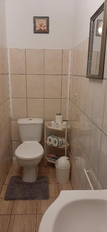 Kúpeľňa v ubytovaní Domek - Leśna Kryjówka