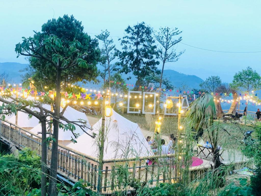 Sapa