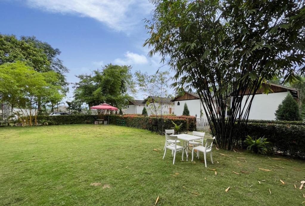 uma mesa e cadeiras num quintal com uma árvore em Manas Jungle Retreat em Jyoti Gaon