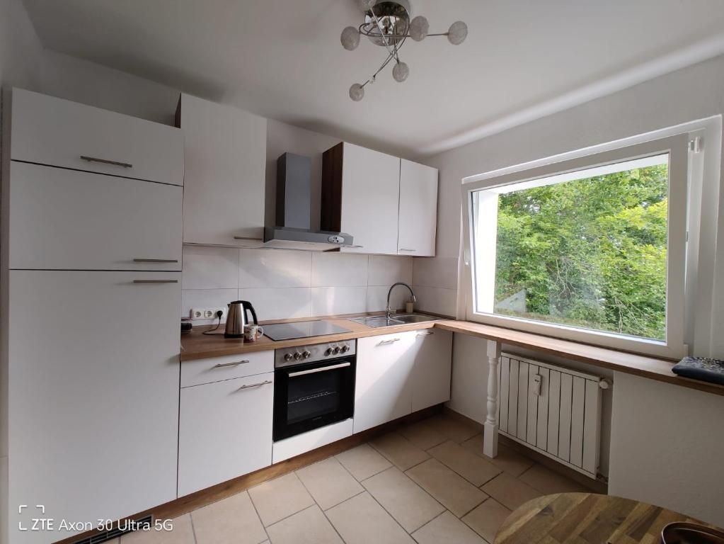 une cuisine avec des placards blancs et une fenêtre dans l'établissement Apartment am Schillerteich, à Wolfsburg