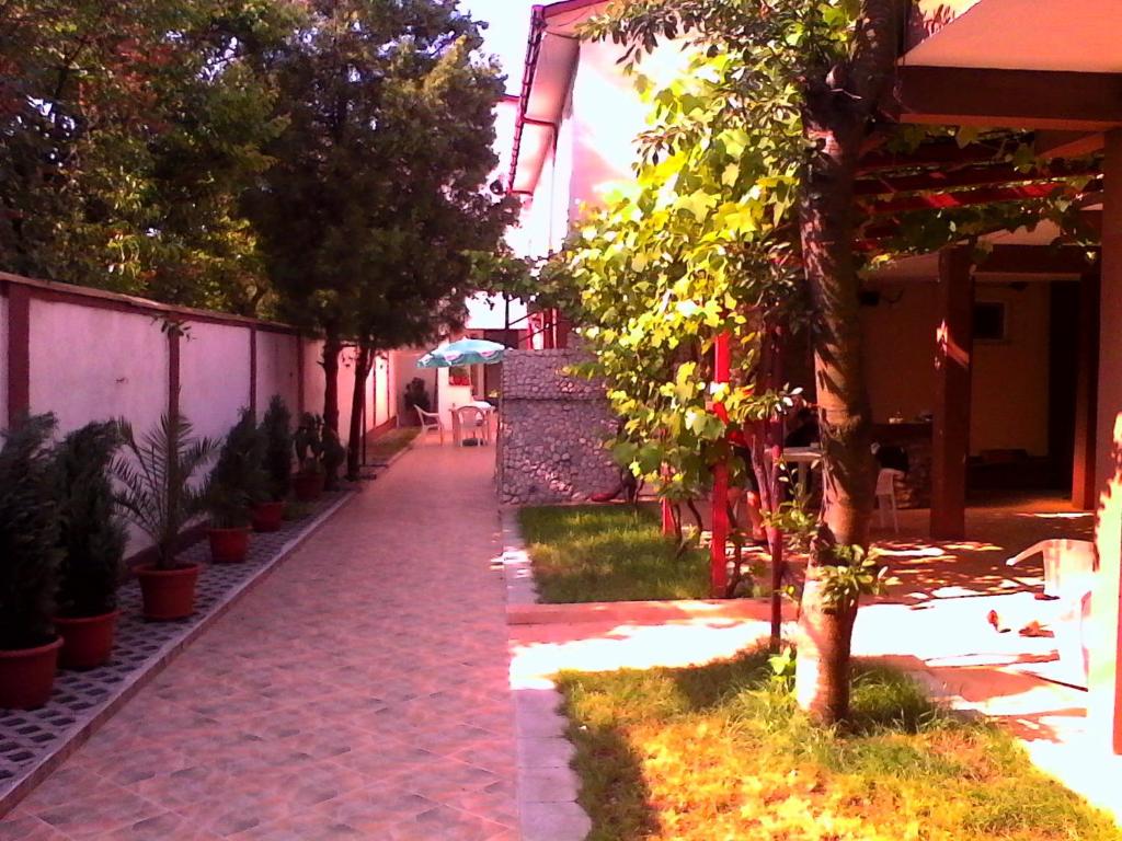a walkway leading to a house with a tree at Vila Popoiu in Costinesti