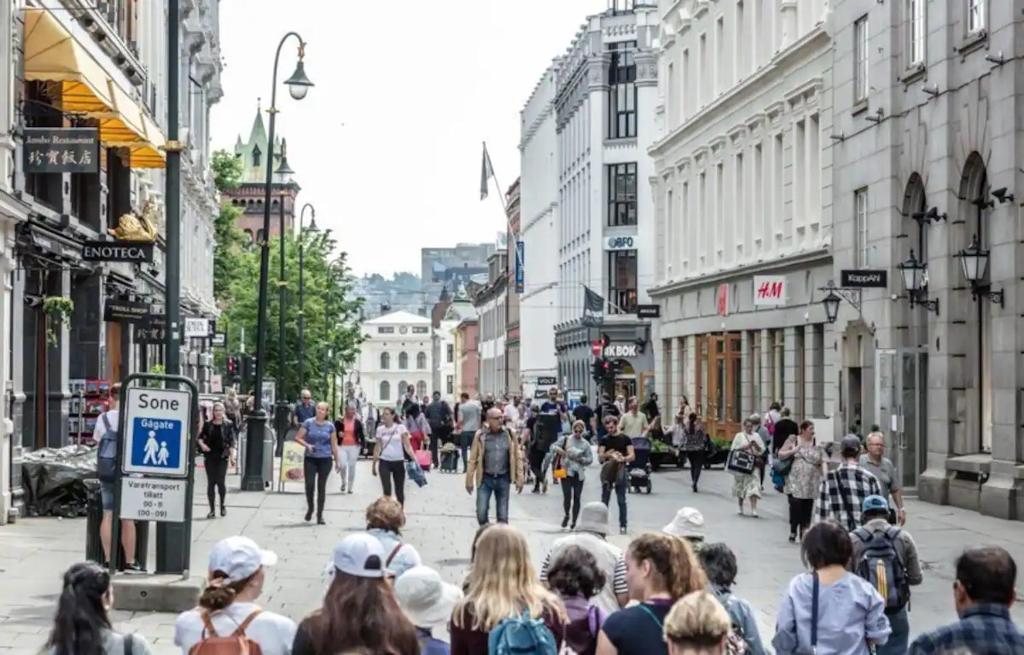 a crowd of people walking down a busy city street at Magnificent Modern Apartment Central Oslo in Oslo