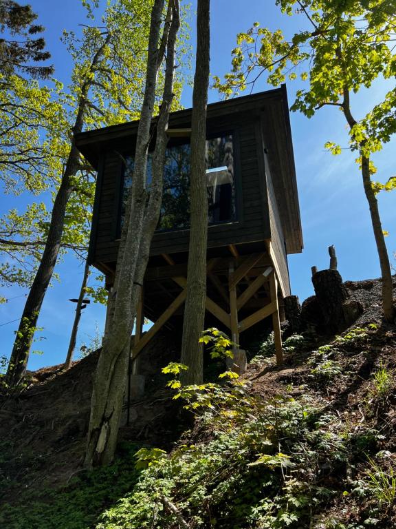 a tree house on a hill in the woods at Vättervy Glamping- Ravinstuga in Habo