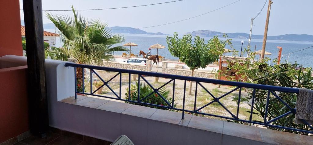 Príroda v okolí apartmánu
