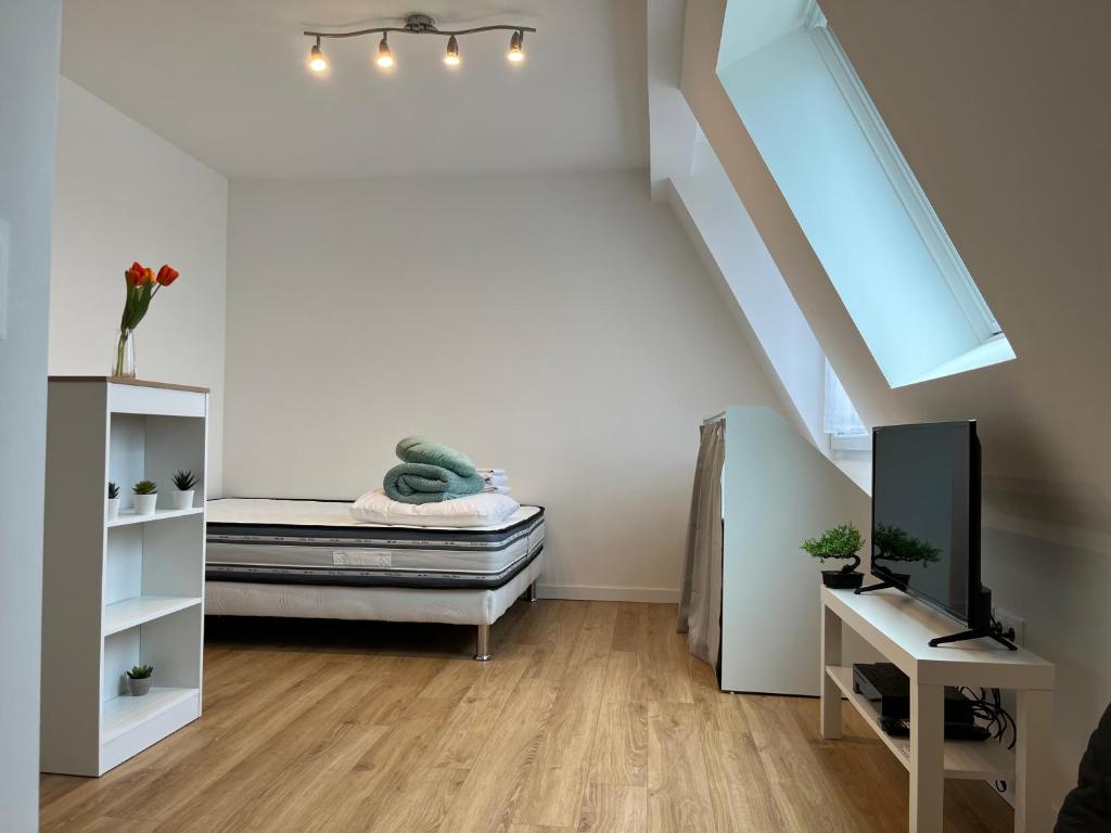 um quarto com uma cama e uma televisão num quarto em Saint-Maur Créteil - Proche Paris centre et Disney em Saint-Maur-des-Fossés