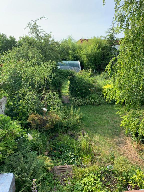 einen Garten mit Pflanzen und Bäumen und einem Feld in der Unterkunft Fermette nature chez le particulier in Courgenay