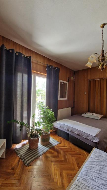 a bedroom with a bed and two potted plants at Dobrić in Kastel Stafilic