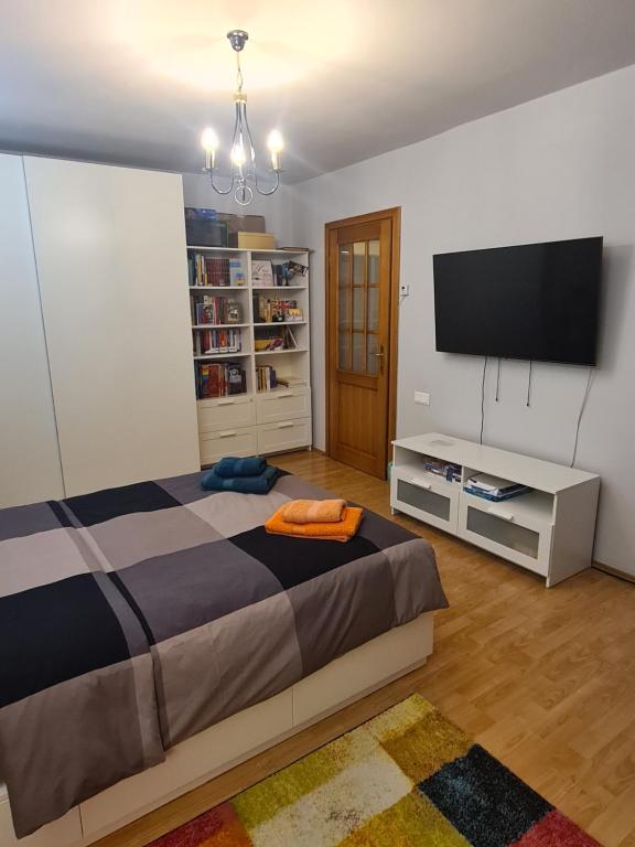 TV a/nebo společenská místnost v ubytování Apartament David Deva - 2 dormitoare & 1 living