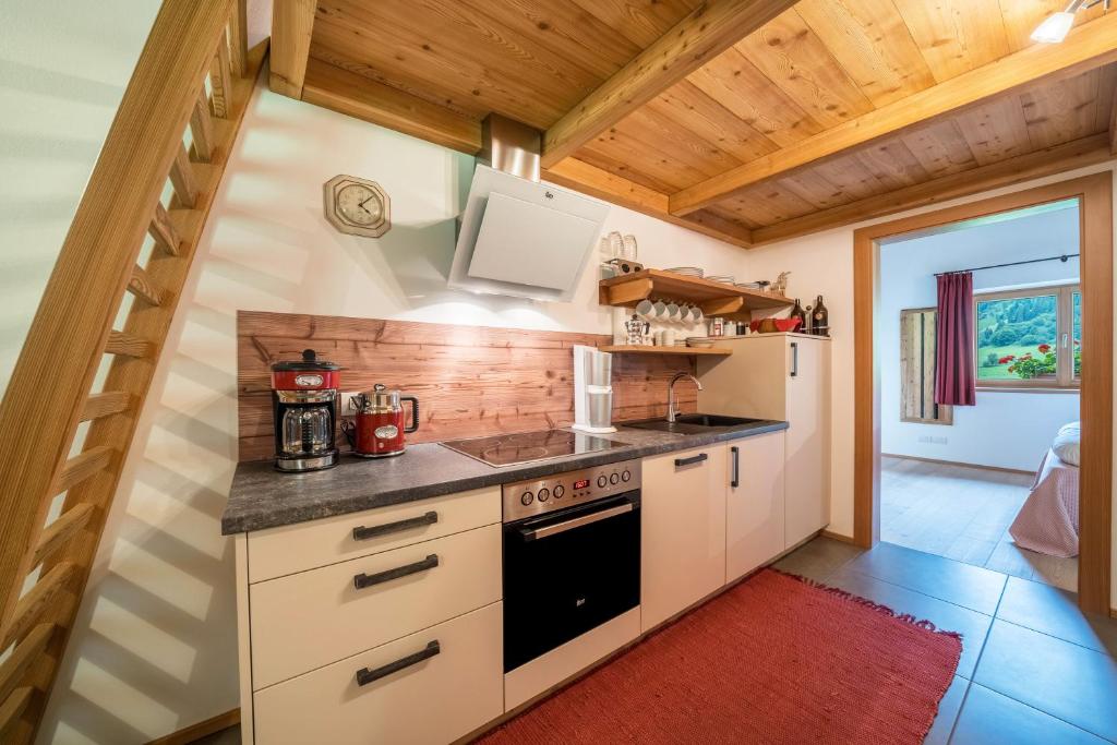 Kuchyň nebo kuchyňský kout v ubytování Ferienhaus Larch Soge Apt Helmuth