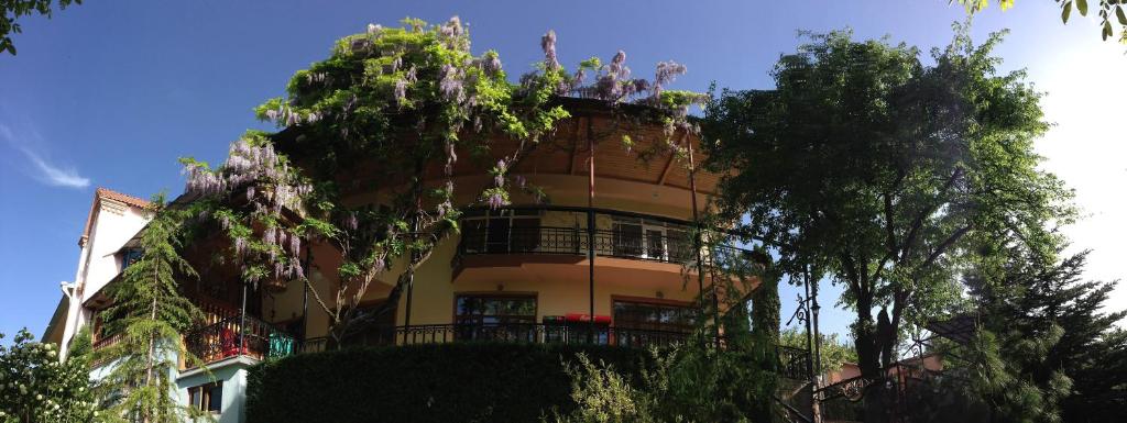 Zahrada ubytování Casanova Inn - Boutique Hotel